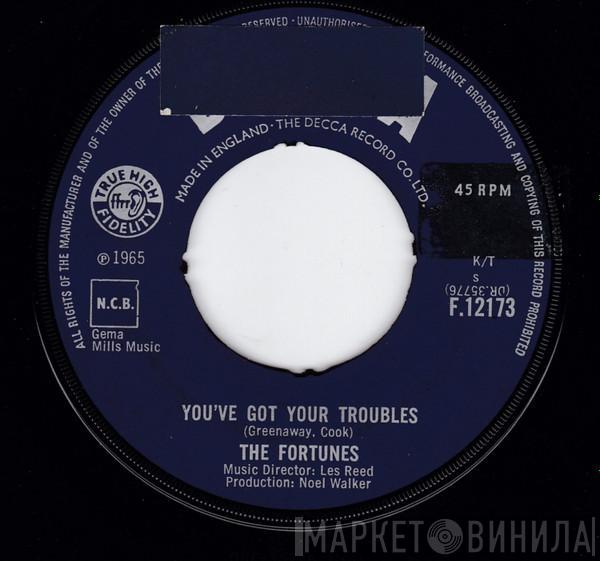 The Fortunes - You've Got Your Troubles