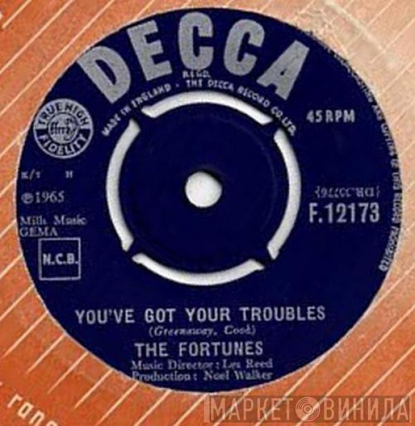  The Fortunes  - You've Got Your Troubles