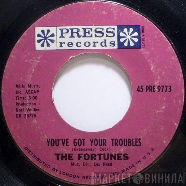  The Fortunes  - You've Got Your Troubles