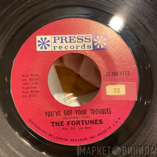  The Fortunes  - You've Got Your Troubles