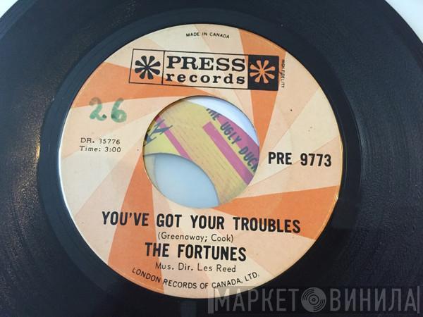  The Fortunes  - You've Got Your Troubles