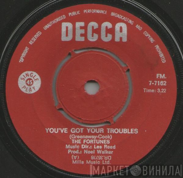  The Fortunes  - You've Got Your Troubles
