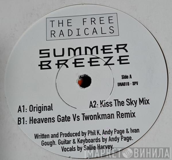 The Free Radicals - Summer Breeze