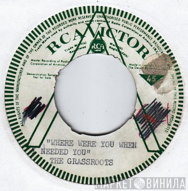  The Grass Roots  - Where Were You When I Needed You
