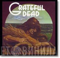  The Grateful Dead  - Wake Of The Flood
