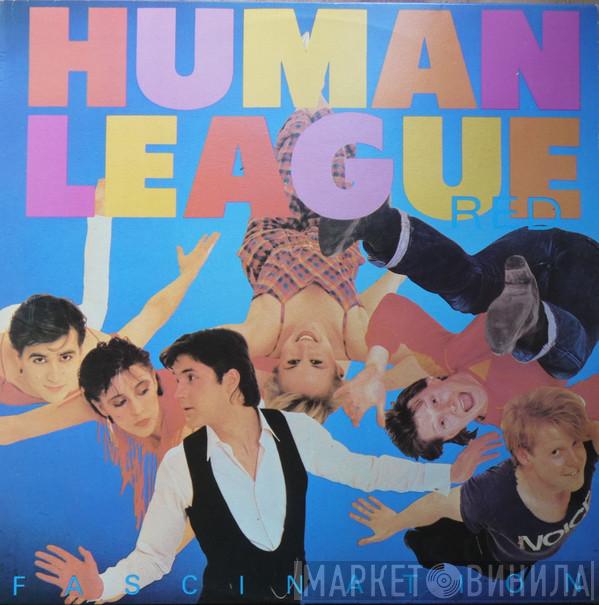  The Human League  - Fascination