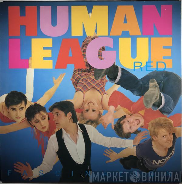  The Human League  - Fascination