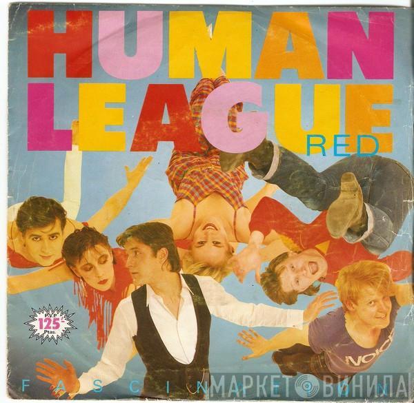 The Human League - Fascination