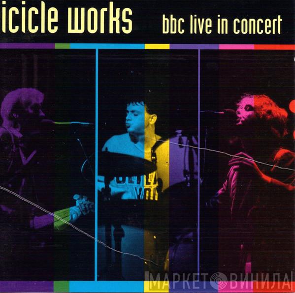 The Icicle Works - BBC Live In Concert