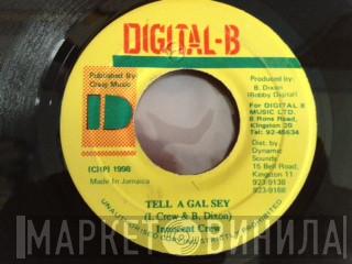 The Innocent Crew - Tell A Gal Sey