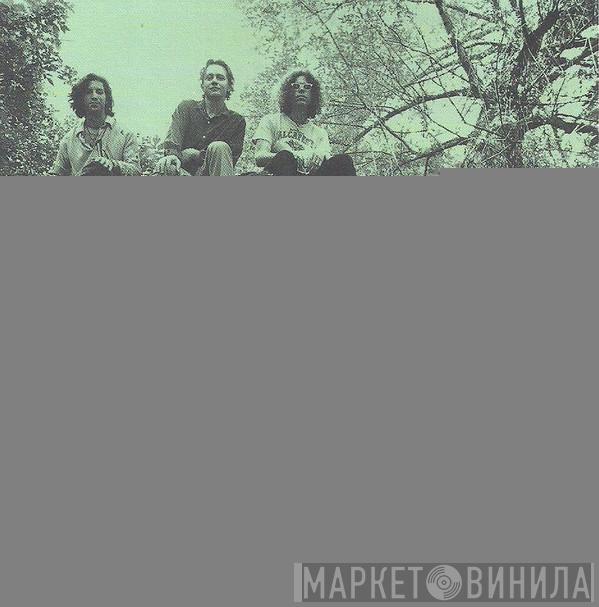  The Jayhawks  - Tomorrow The Green Grass