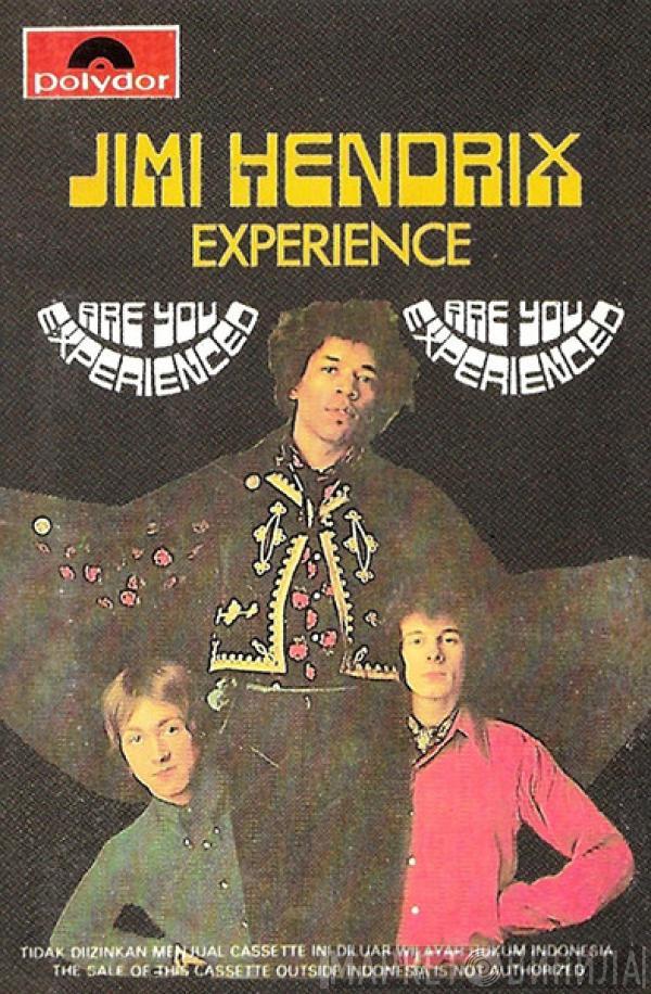  The Jimi Hendrix Experience  - Are You Experienced