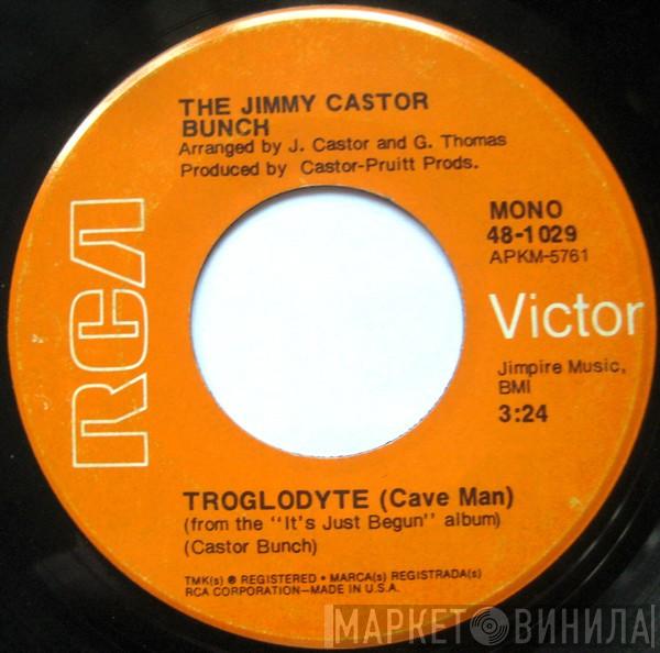 The Jimmy Castor Bunch - Troglodyte (Cave Man) / I Promise To Remember