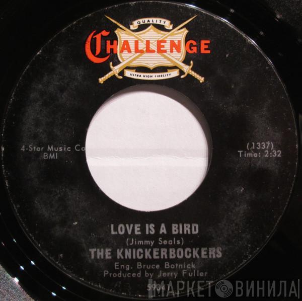The Knickerbockers - Love Is A Bird