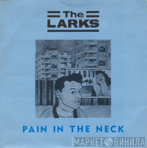  The Larks   - Pain In The Neck