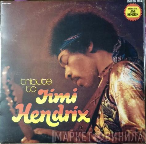  The Live Experience Band  - Tribute To Jimi Hendrix