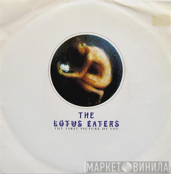  The Lotus Eaters  - The First Picture Of You