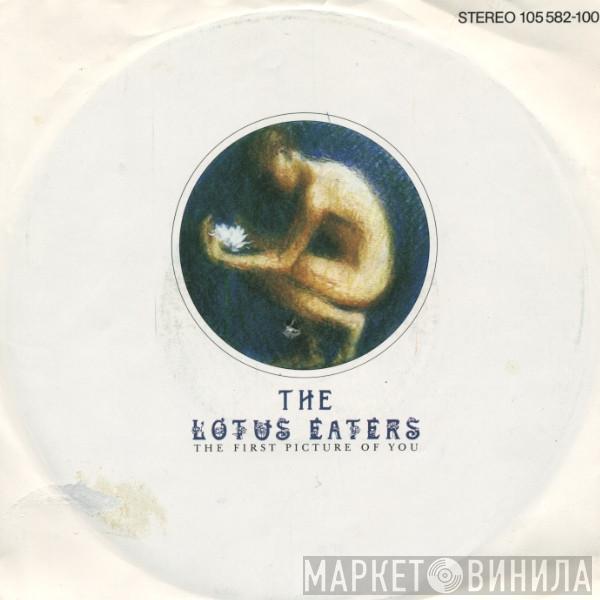  The Lotus Eaters  - The First Picture Of You