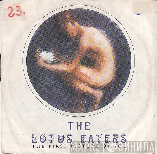  The Lotus Eaters  - The First Picture Of You