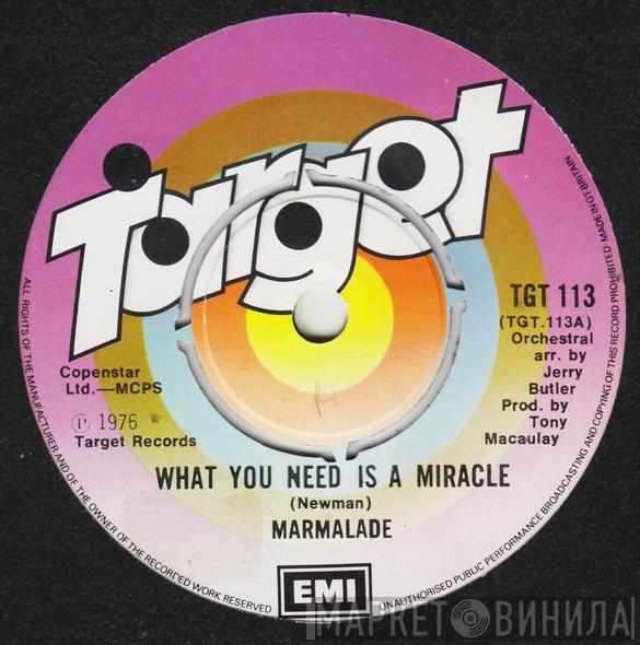 The Marmalade - What You Need Is A Miracle