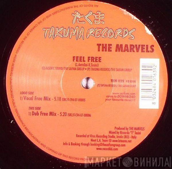 The Marvels  - Feel Free