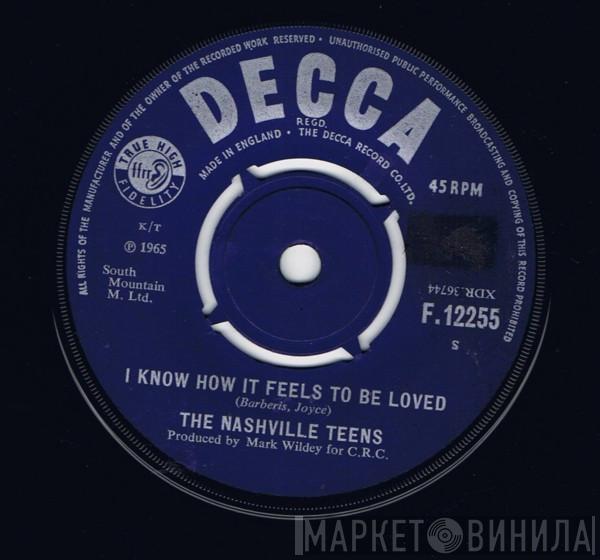 The Nashville Teens - I Know How It Feels To Be Loved
