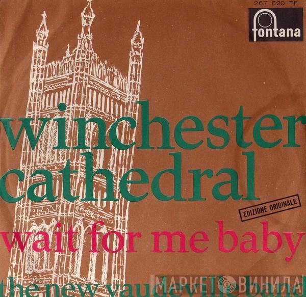  The New Vaudeville Band  - Winchester Cathedral