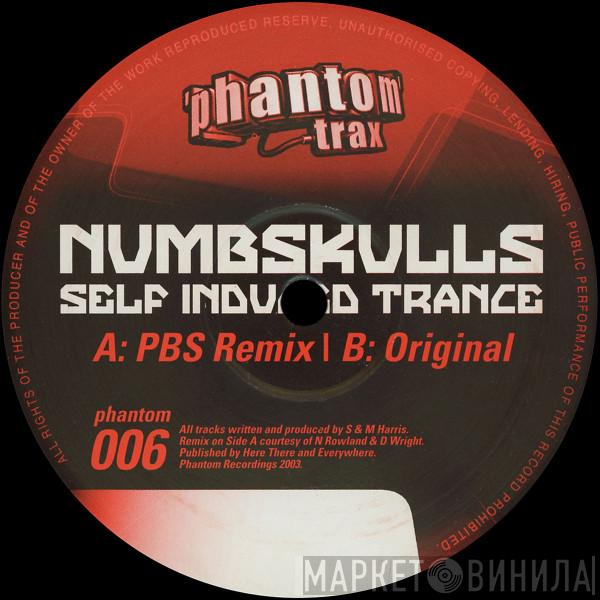  The Numbskulls  - Self Induced Trance