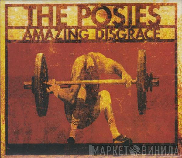 The Posies - Amazing Disgrace