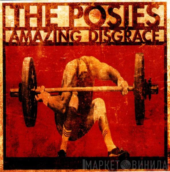 The Posies - Amazing Disgrace
