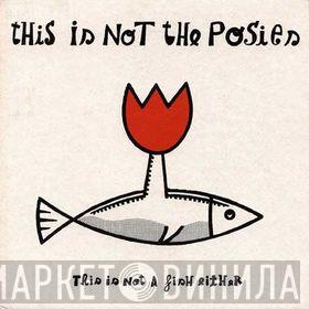 The Posies - This Is Not The Posies