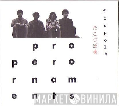  The Proper Ornaments  - Foxhole