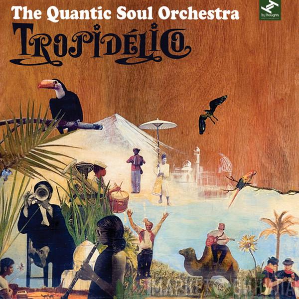  The Quantic Soul Orchestra  - Tropidélico