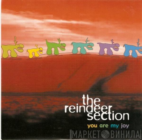 The Reindeer Section - You Are My Joy