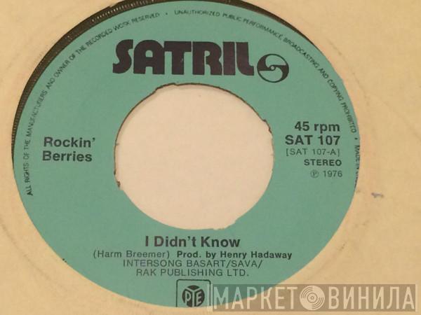  The Rockin' Berries  - I Didn't Know
