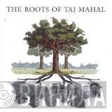  - The Roots Of Taj Mahal