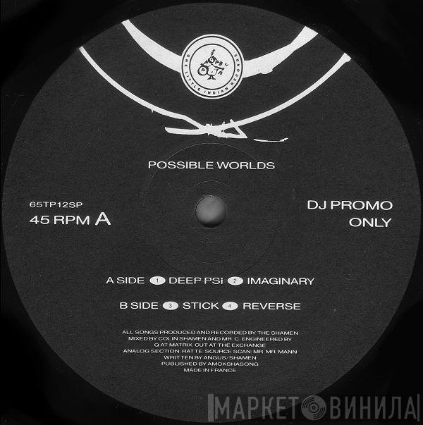 The Shamen - Possible Worlds