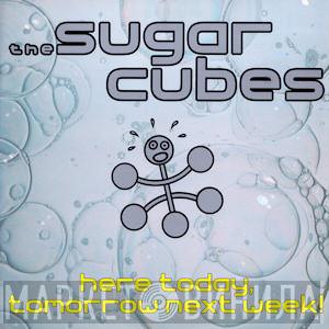  The Sugarcubes  - Here Today, Tomorrow Next Week!