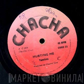 The Tamlins - Hurting Me