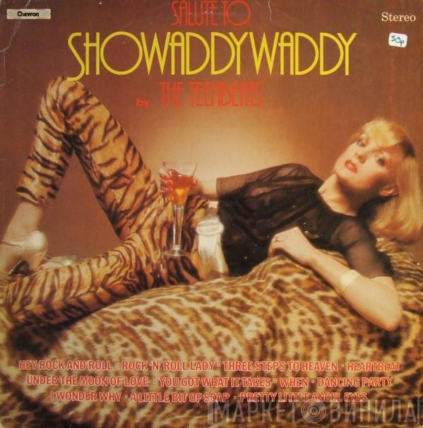 The Teenbeats  - Salute To Showaddywaddy