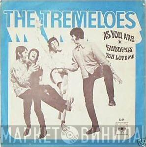  The Tremeloes  - As You Are / Suddenly You Love Me
