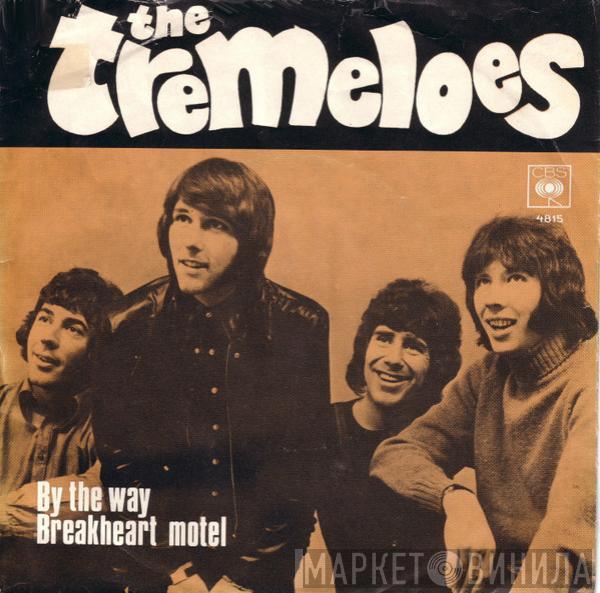  The Tremeloes  - By The Way / Breakheart Motel