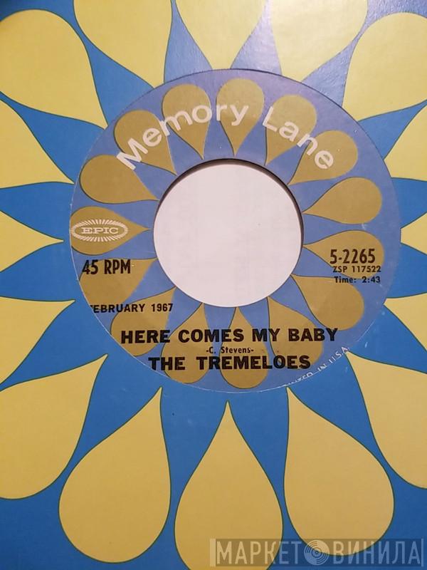  The Tremeloes  - Here Comes My Baby / Silence Is Golden