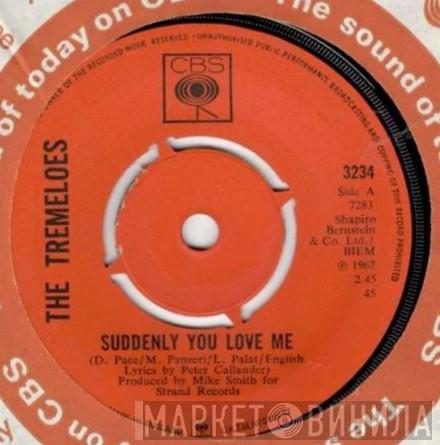  The Tremeloes  - Suddenly You Love Me / As You Are