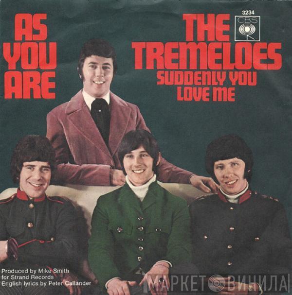  The Tremeloes  - As You Are