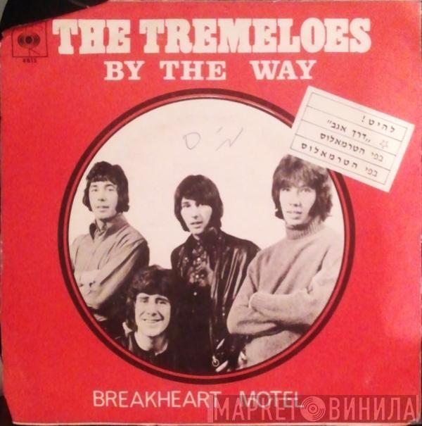  The Tremeloes  - By The Way