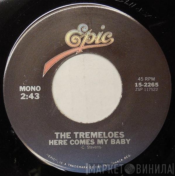  The Tremeloes  - Here Comes My Baby