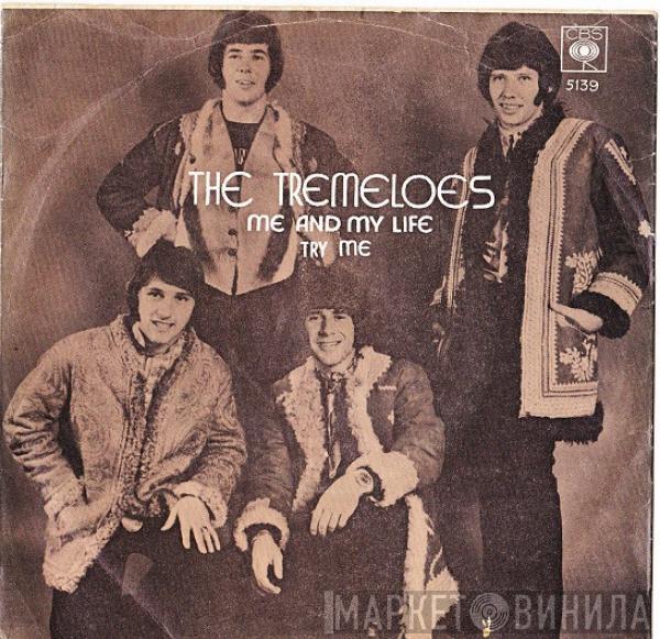  The Tremeloes  - Me And My Life