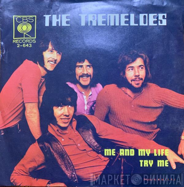  The Tremeloes  - Me And My Life