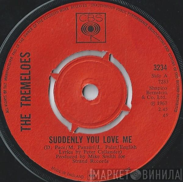 The Tremeloes - Suddenly You Love Me / As You Are